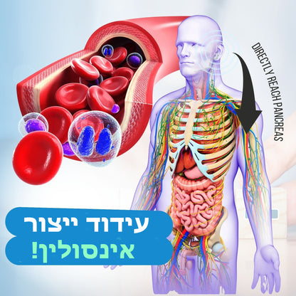 עגילי AEXZR™ Acupressure Sugar Regulator